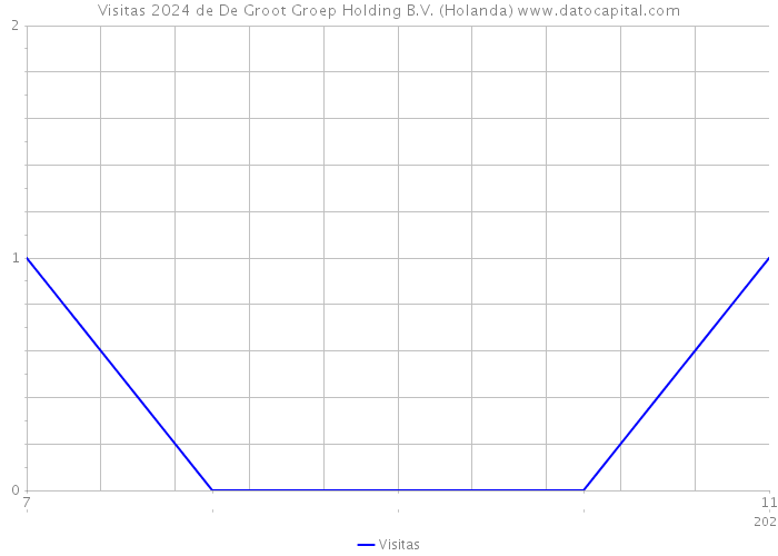 Visitas 2024 de De Groot Groep Holding B.V. (Holanda) 