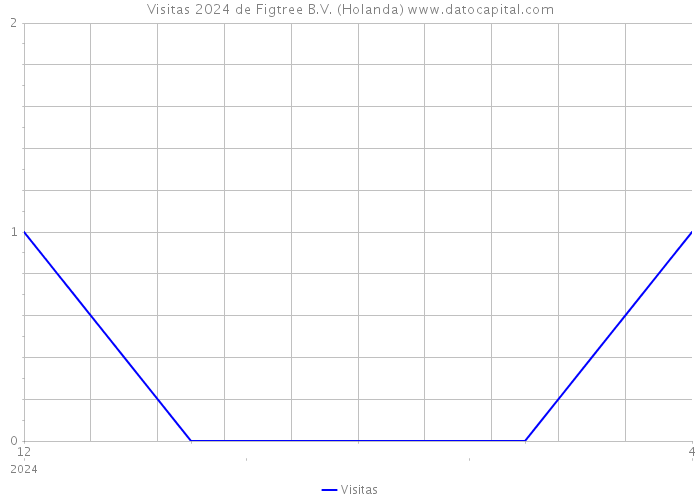 Visitas 2024 de Figtree B.V. (Holanda) 