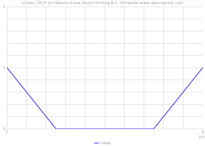 Visitas 2024 de Habetis bona deum Holding B.V. (Holanda) 