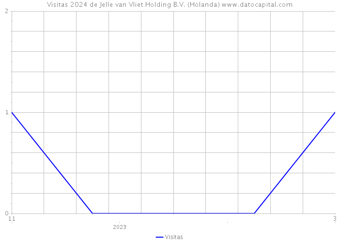 Visitas 2024 de Jelle van Vliet Holding B.V. (Holanda) 