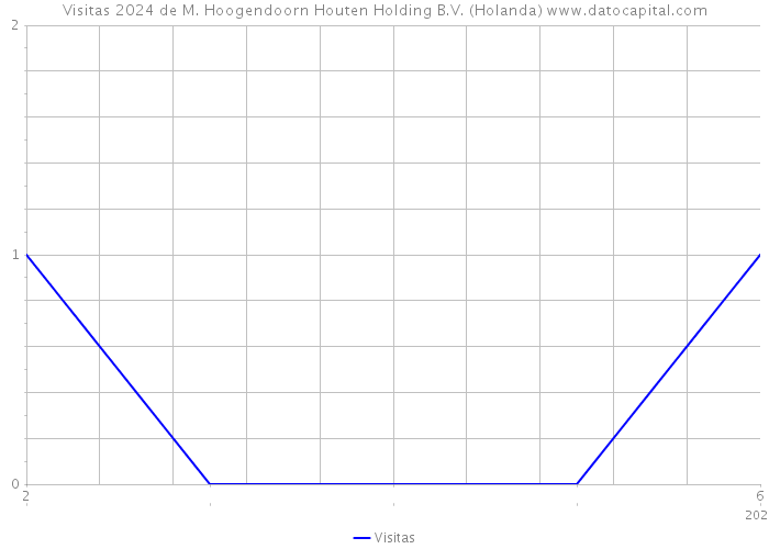 Visitas 2024 de M. Hoogendoorn Houten Holding B.V. (Holanda) 