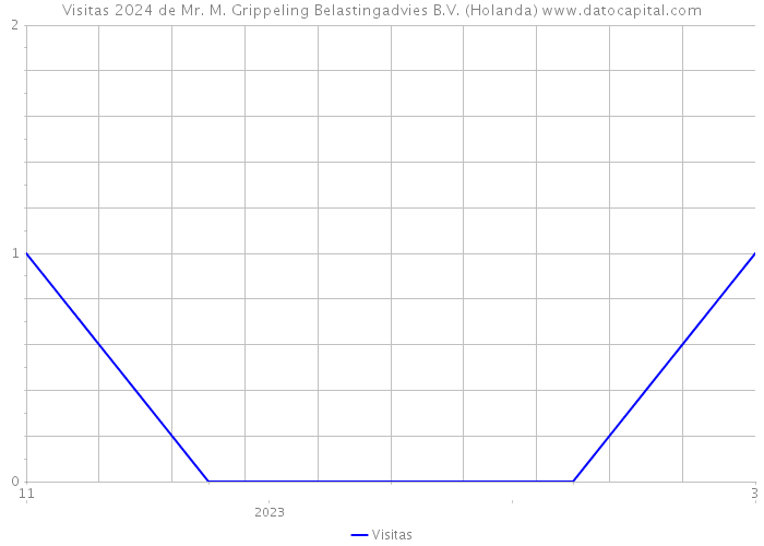 Visitas 2024 de Mr. M. Grippeling Belastingadvies B.V. (Holanda) 