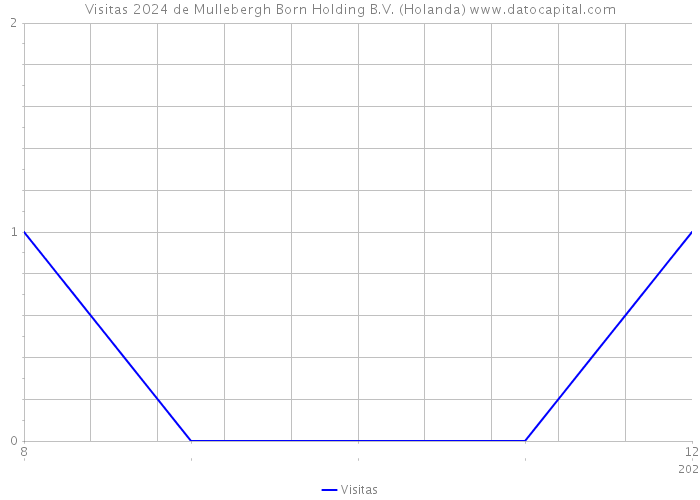 Visitas 2024 de Mullebergh Born Holding B.V. (Holanda) 