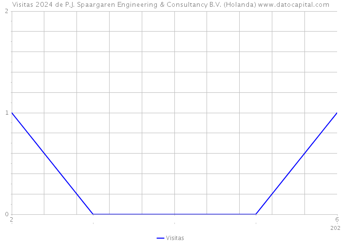 Visitas 2024 de P.J. Spaargaren Engineering & Consultancy B.V. (Holanda) 