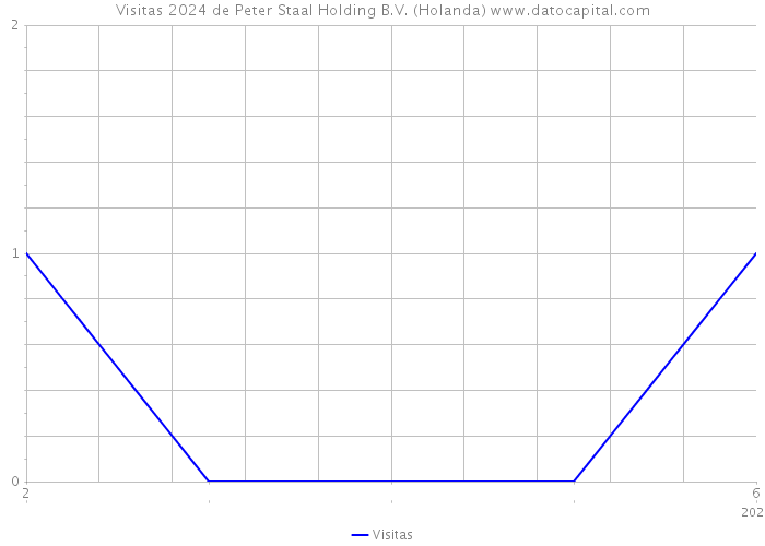 Visitas 2024 de Peter Staal Holding B.V. (Holanda) 