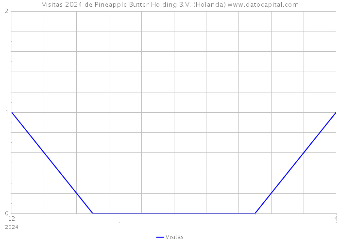 Visitas 2024 de Pineapple Butter Holding B.V. (Holanda) 