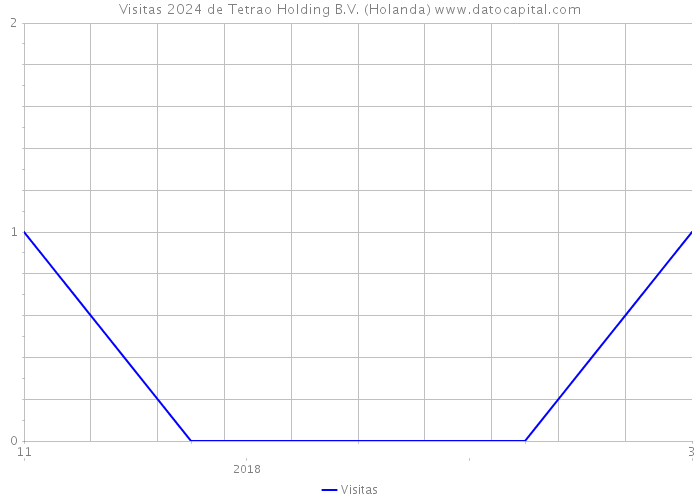 Visitas 2024 de Tetrao Holding B.V. (Holanda) 