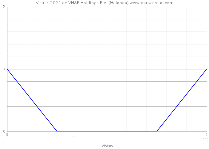 Visitas 2024 de VH&B Holdings B.V. (Holanda) 