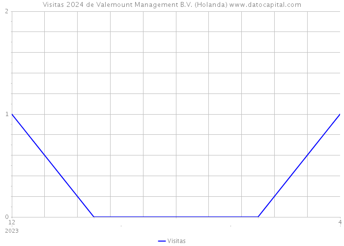 Visitas 2024 de Valemount Management B.V. (Holanda) 