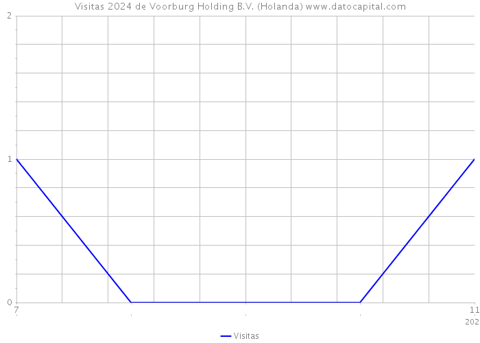 Visitas 2024 de Voorburg Holding B.V. (Holanda) 