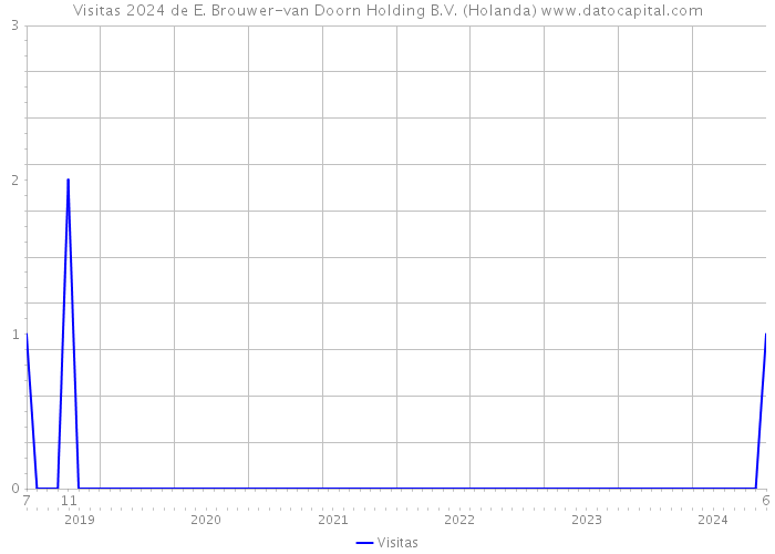 Visitas 2024 de E. Brouwer-van Doorn Holding B.V. (Holanda) 