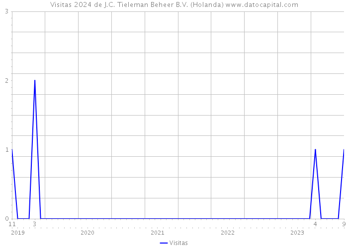 Visitas 2024 de J.C. Tieleman Beheer B.V. (Holanda) 