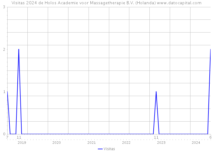 Visitas 2024 de Holos Academie voor Massagetherapie B.V. (Holanda) 