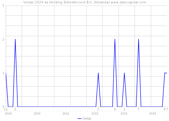 Visitas 2024 de Holding Stikkelbroeck B.V. (Holanda) 