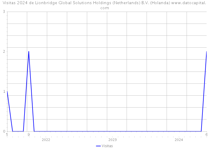 Visitas 2024 de Lionbridge Global Solutions Holdings (Netherlands) B.V. (Holanda) 