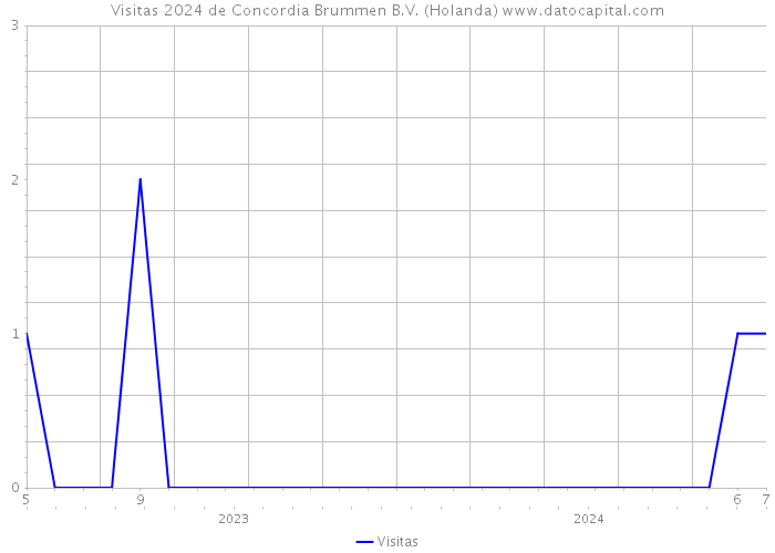 Visitas 2024 de Concordia Brummen B.V. (Holanda) 