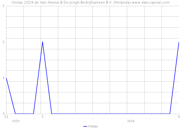 Visitas 2024 de Van Altena & De Jongh Bedrijfsartsen B.V. (Holanda) 