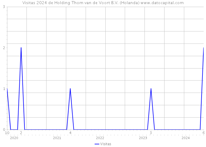 Visitas 2024 de Holding Thom van de Voort B.V. (Holanda) 