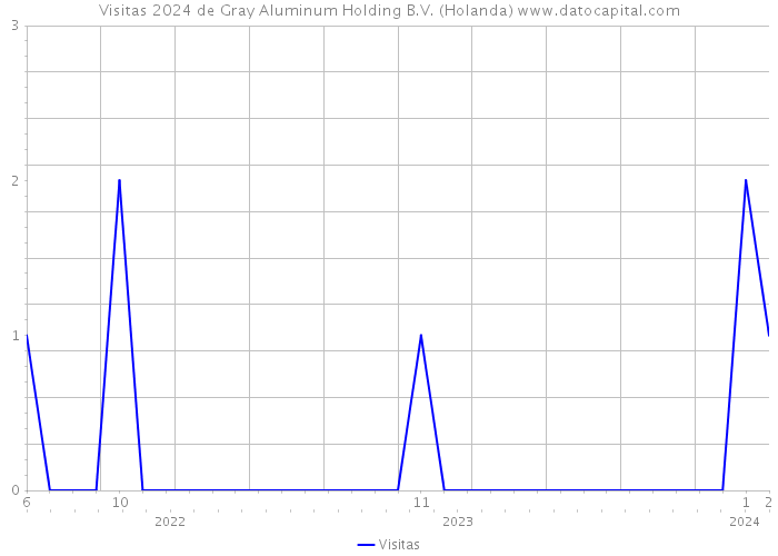 Visitas 2024 de Gray Aluminum Holding B.V. (Holanda) 