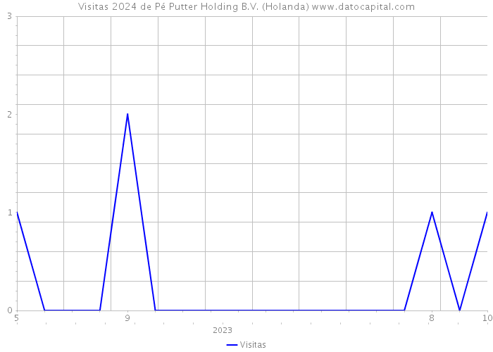 Visitas 2024 de Pé Putter Holding B.V. (Holanda) 