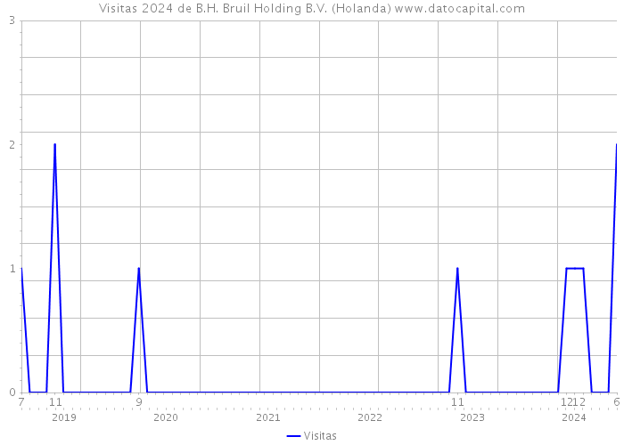 Visitas 2024 de B.H. Bruil Holding B.V. (Holanda) 