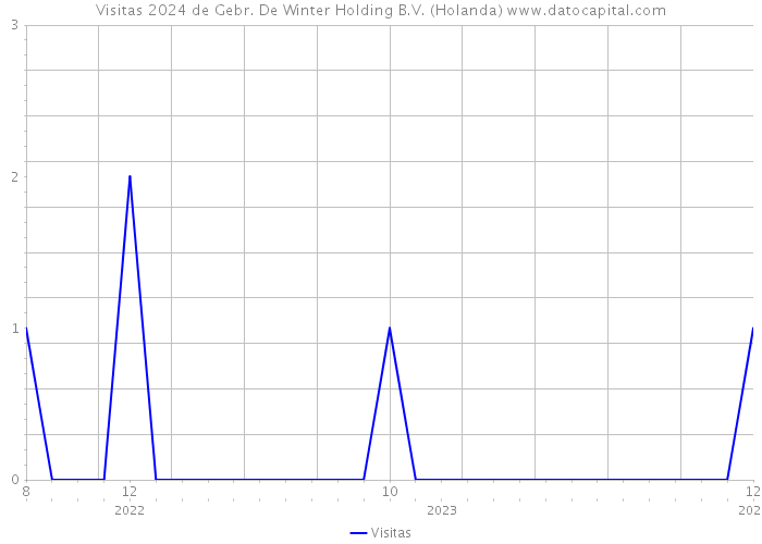 Visitas 2024 de Gebr. De Winter Holding B.V. (Holanda) 