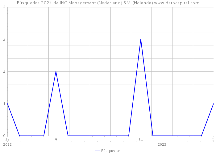 Búsquedas 2024 de ING Management (Nederland) B.V. (Holanda) 