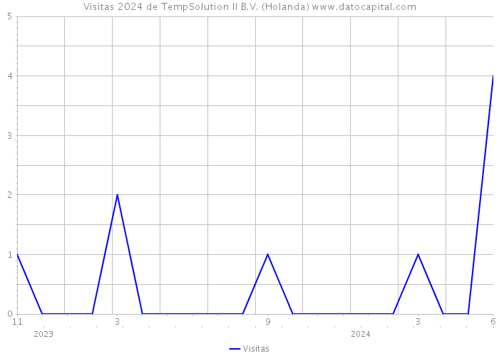 Visitas 2024 de TempSolution II B.V. (Holanda) 