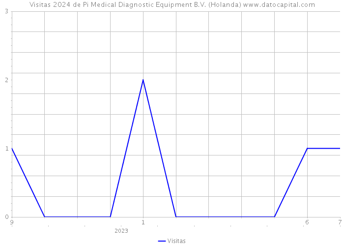 Visitas 2024 de Pi Medical Diagnostic Equipment B.V. (Holanda) 