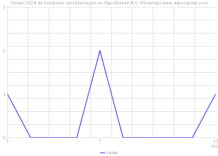 Visitas 2024 de Kiesbrink Verzekeringen en Hypotheken B.V. (Holanda) 