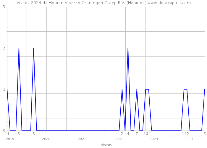 Visitas 2024 de Houten Vloeren Groningen Groep B.V. (Holanda) 