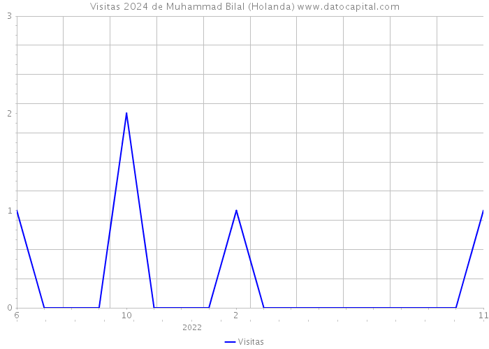 Visitas 2024 de Muhammad Bilal (Holanda) 