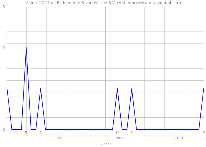 Visitas 2024 de Balkenende & van Wessel B.V. (Holanda) 