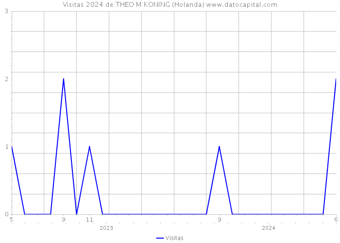 Visitas 2024 de THEO M KONING (Holanda) 