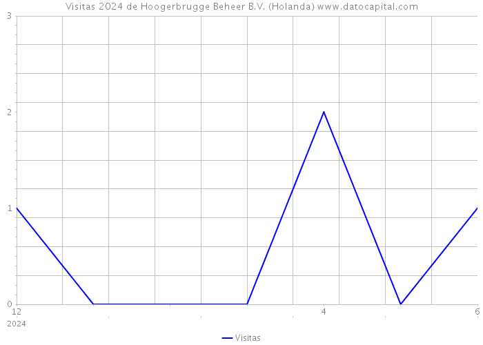 Visitas 2024 de Hoogerbrugge Beheer B.V. (Holanda) 