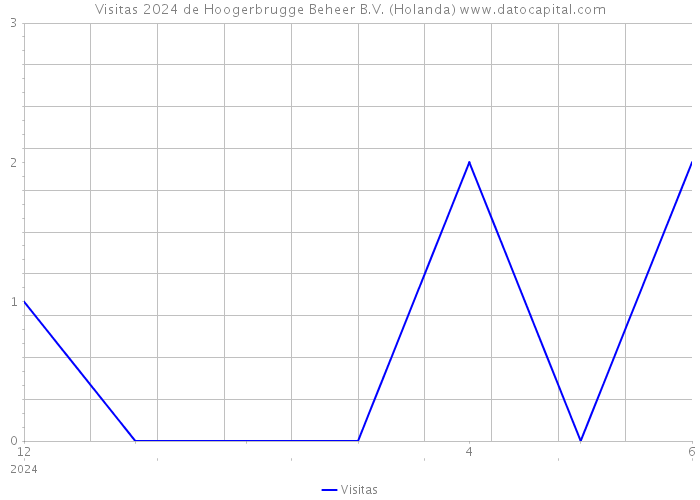 Visitas 2024 de Hoogerbrugge Beheer B.V. (Holanda) 