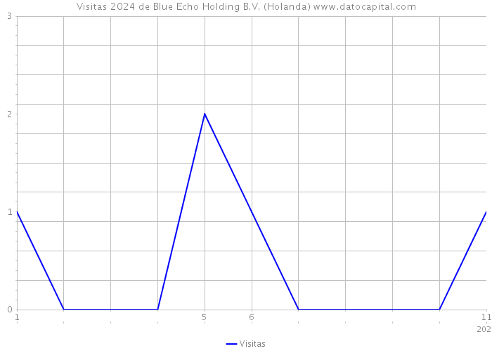 Visitas 2024 de Blue Echo Holding B.V. (Holanda) 