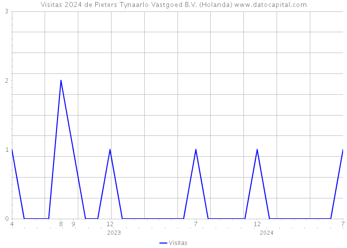 Visitas 2024 de Pieters Tynaarlo Vastgoed B.V. (Holanda) 