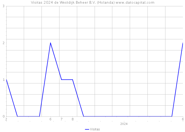 Visitas 2024 de Westdijk Beheer B.V. (Holanda) 