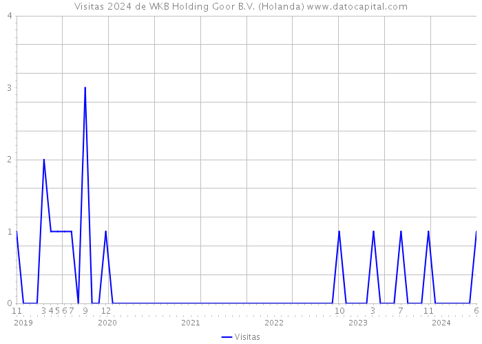 Visitas 2024 de WKB Holding Goor B.V. (Holanda) 