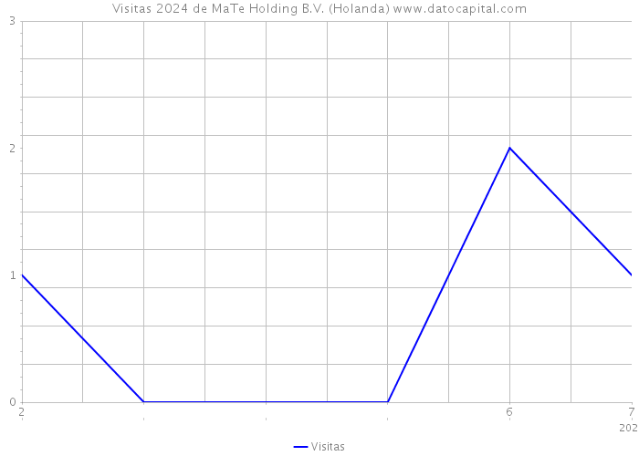 Visitas 2024 de MaTe Holding B.V. (Holanda) 