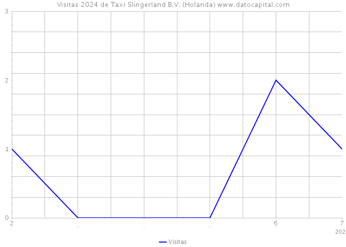 Visitas 2024 de Taxi Slingerland B.V. (Holanda) 