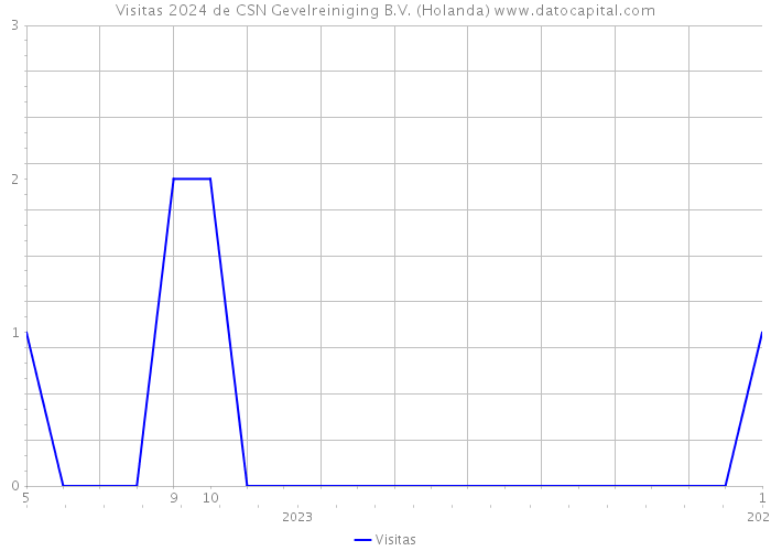 Visitas 2024 de CSN Gevelreiniging B.V. (Holanda) 
