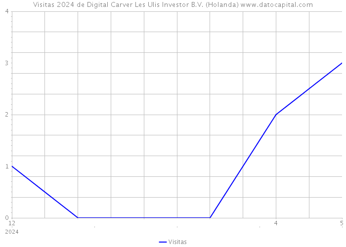 Visitas 2024 de Digital Carver Les Ulis Investor B.V. (Holanda) 