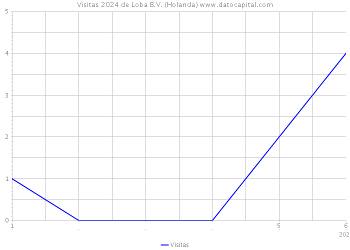 Visitas 2024 de Loba B.V. (Holanda) 