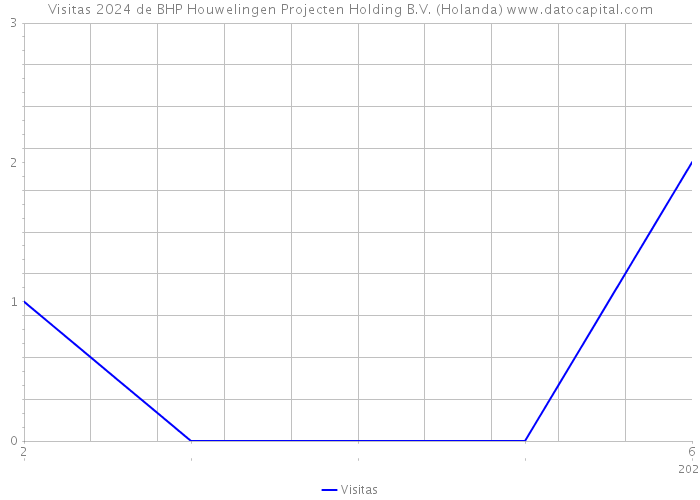 Visitas 2024 de BHP Houwelingen Projecten Holding B.V. (Holanda) 