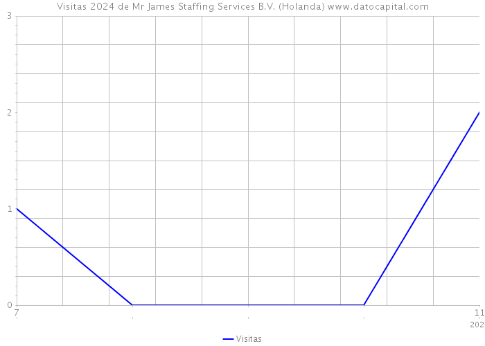 Visitas 2024 de Mr James Staffing Services B.V. (Holanda) 
