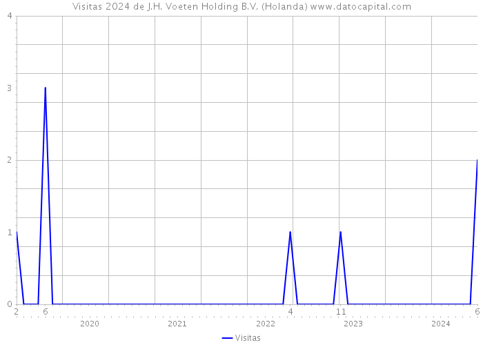 Visitas 2024 de J.H. Voeten Holding B.V. (Holanda) 