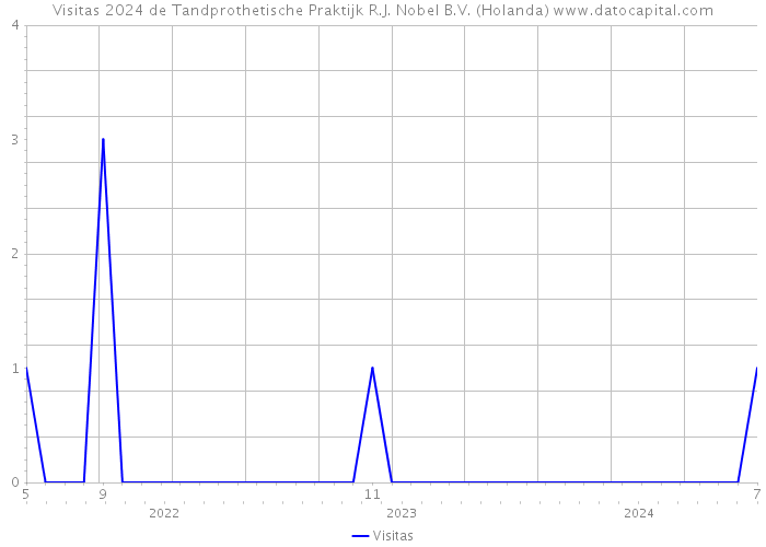 Visitas 2024 de Tandprothetische Praktijk R.J. Nobel B.V. (Holanda) 