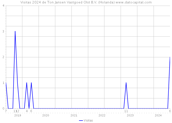 Visitas 2024 de Ton Jansen Vastgoed Olst B.V. (Holanda) 